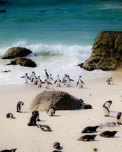Beach in South Africa