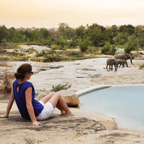 South Africa, Kruger - Londolozi