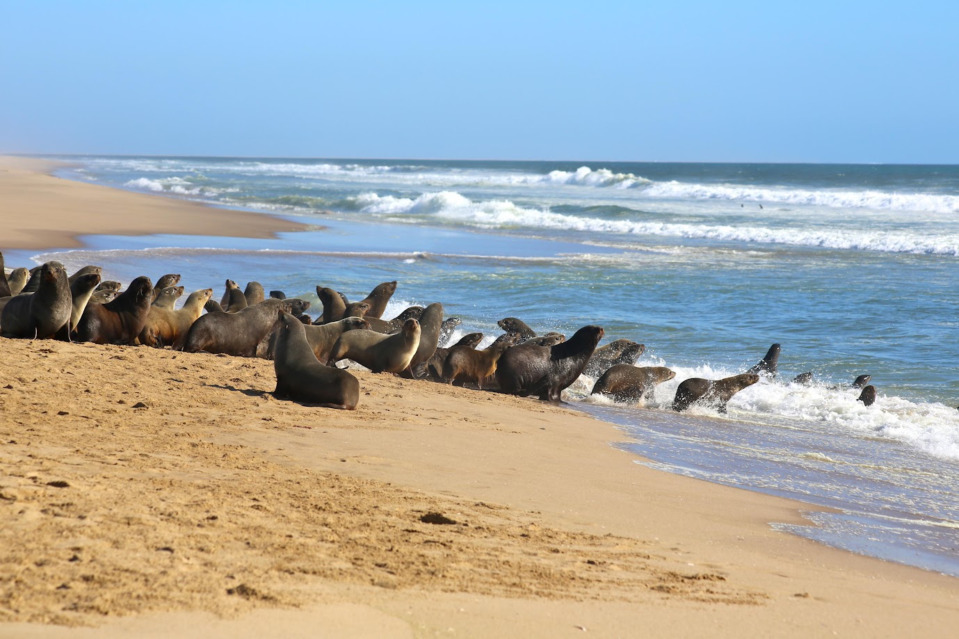 Pilican Point Lodge, Namibia